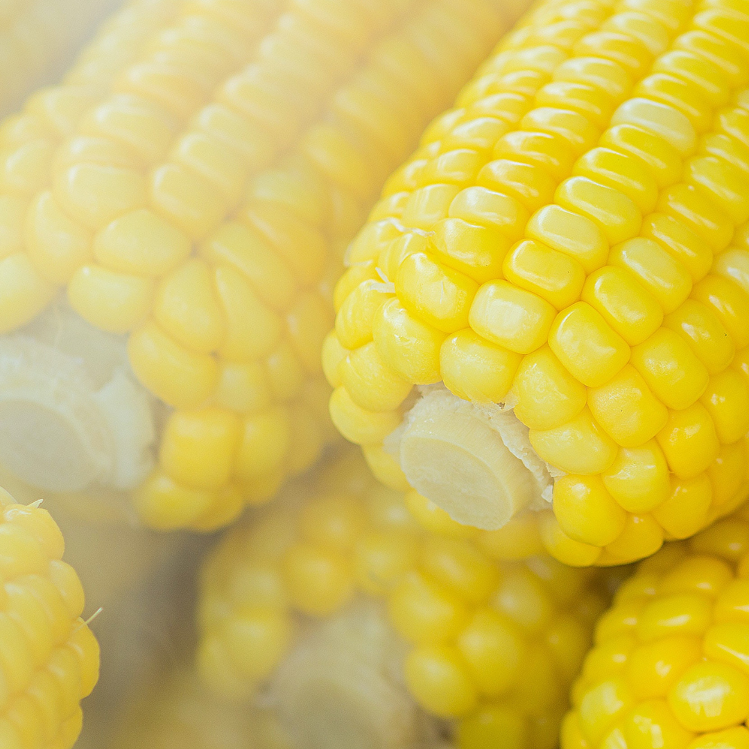 The truth about maize