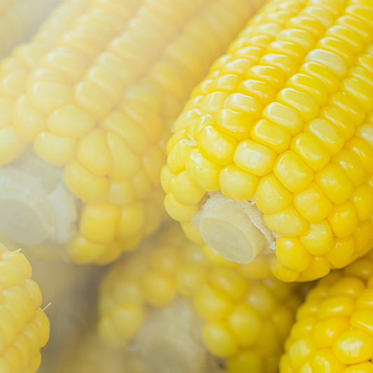 The truth about maize