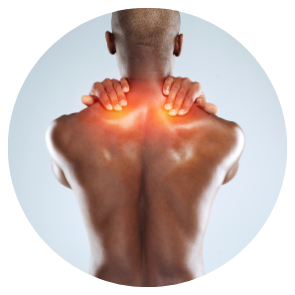 Fibromyalgia Protocol Pack