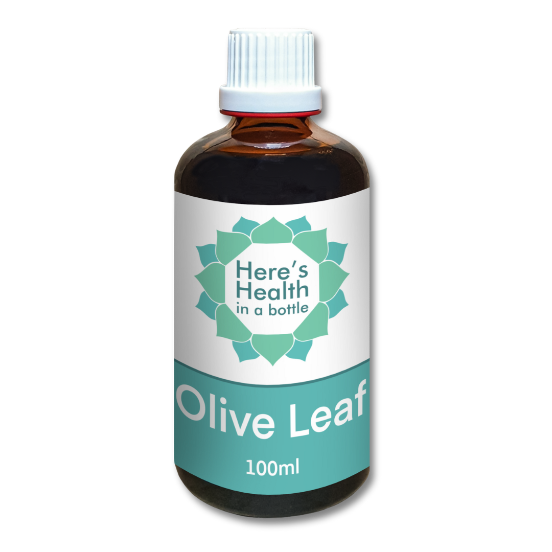 olive-leaf-1