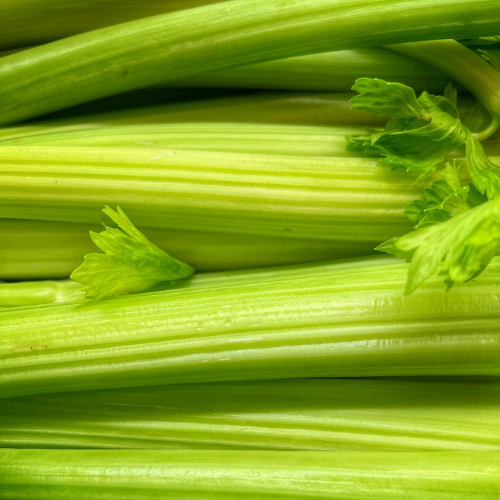 Celery Juice