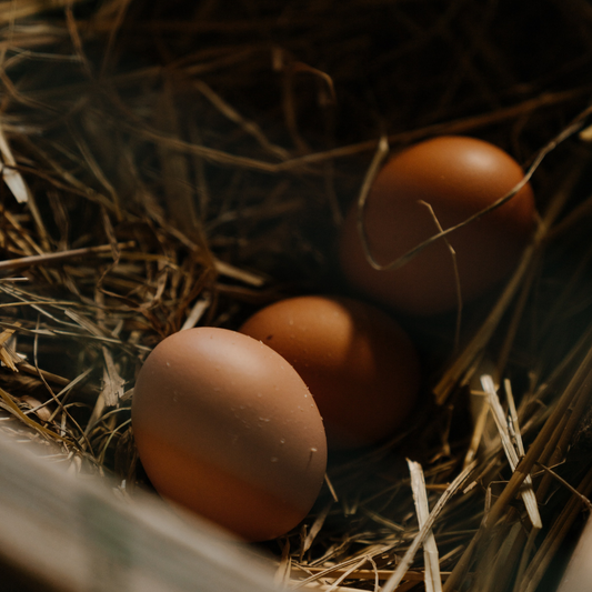 The truth about eggs