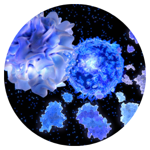 AutoImmunity Protocol Pack
